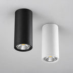 Spots LED cylindriques noir et blanc au plafond